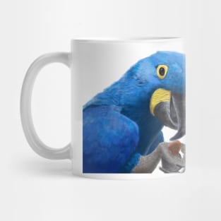 Hyacinth Macaw Parrot Mug